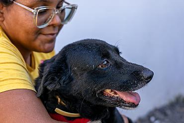 Prefeitura de Cuiabá prepara projeto para encaminhar cães e gatos do canil a lares credenciados