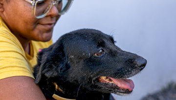 Prefeitura de Cuiabá prepara projeto para encaminhar cães e gatos do canil a lares credenciados